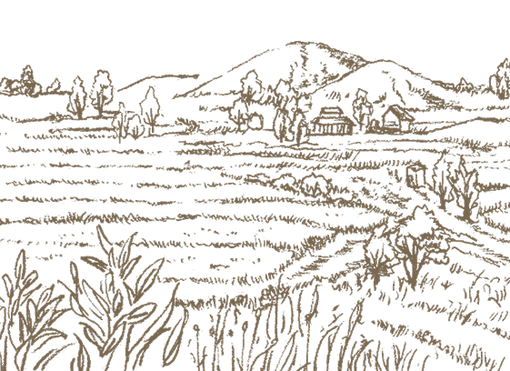 米粉の田園風景 イラスト